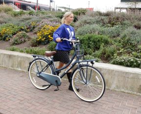 Elektrische fiets beoordelingen-reviews